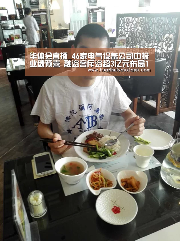 华体会直播_46家电气设备公司中报业绩预喜 融资客斥资超3亿元布局10只绩优股(图1) 华体会网站